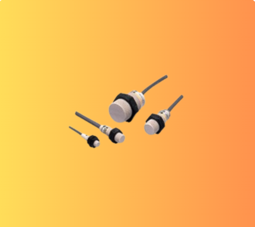 E2F