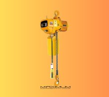 Electric Chain Hoist Trolley