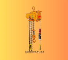 Ingersoll Rand Pneumatic Hoist