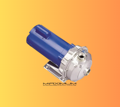 NPE 316L SS Stainless Steel Pumps