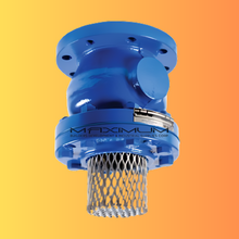 SFV-583: Cla-Val 583 Series Foot Valve