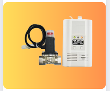 AW-CGD2166-1 Standalone Gas Detector With Magnetic Valve