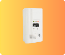 Standalone Gas Detector AW-CGD2166