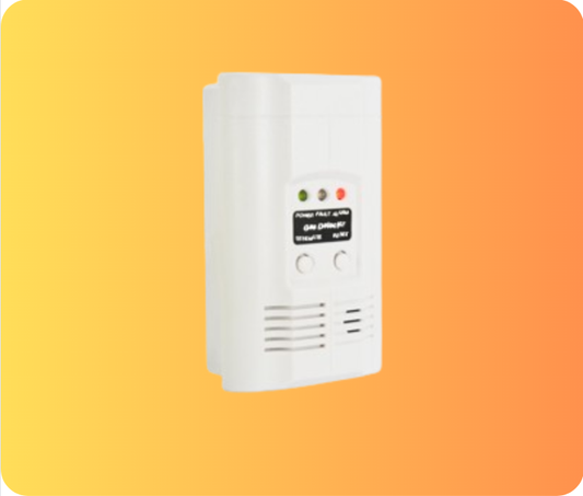 Standalone Gas Detector AW-CGD2166