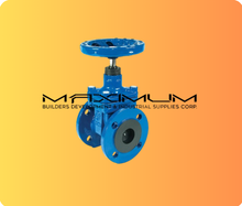 C1 Flanged Valves