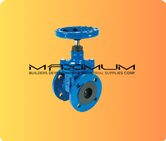 C1 Flanged Valves