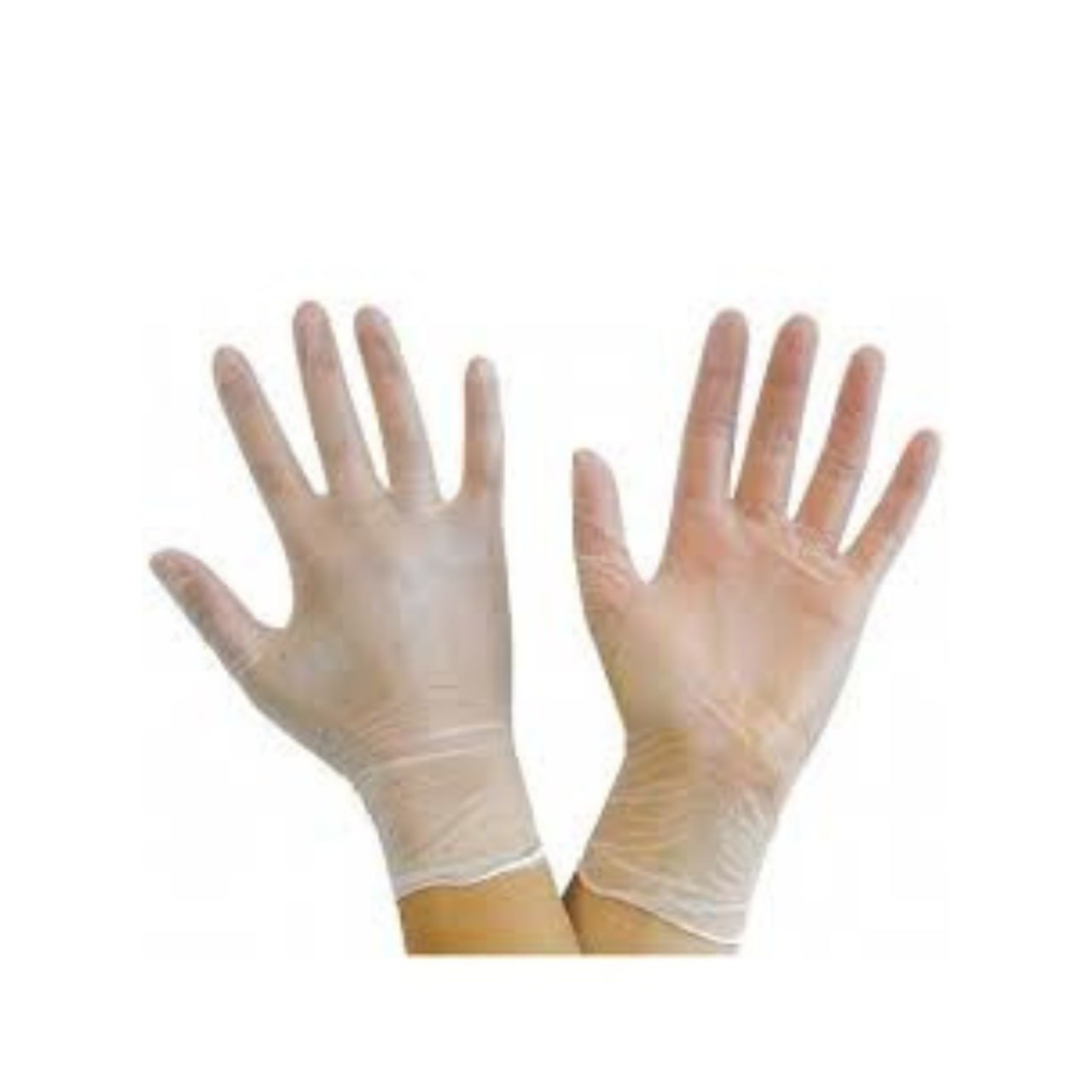 Vinyl Gloves
