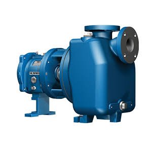 ESS-131: End Suction Self Priming Process Pumps 2796 Series - Summit