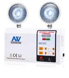 With Switch Type Twin Emergency Luminaires