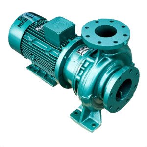 Pentair Southern Cross End Suction Pump