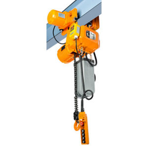 DAESAN Dual Brake and Heavy Duty Motorized Trolley Type - DSM and EDSM Series
