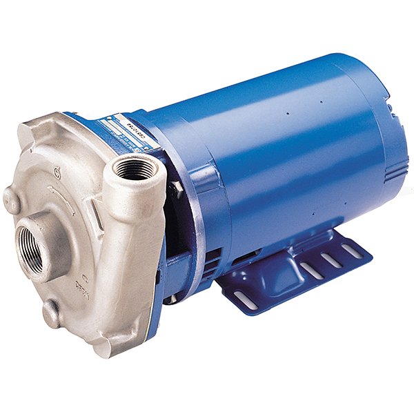 Goulds ICS Series Stainless Steel Centrifugal Pump