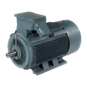 Marathon DMW1 Series IEC Low Voltage Electric Motor