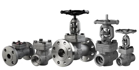 Forged Steel Valves