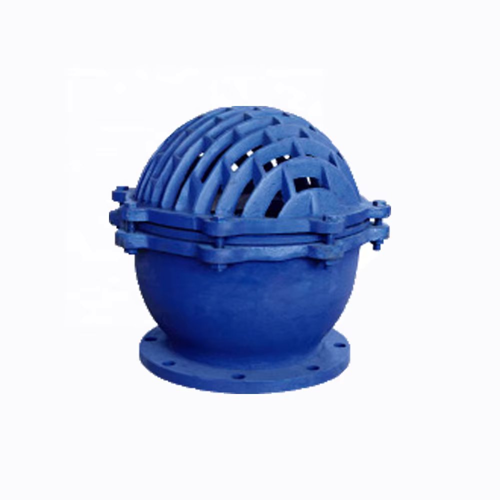 Daisen Flanged Foot Valve with Strainer