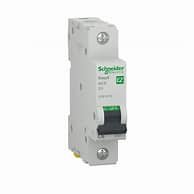 Schneider Miniature Circuit Breaker (2-Pole / SCM Series)