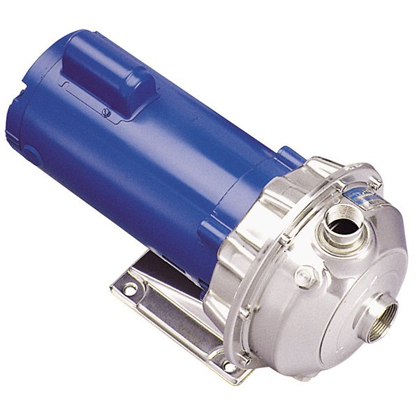 NPE 316L SS Stainless Steel Pumps